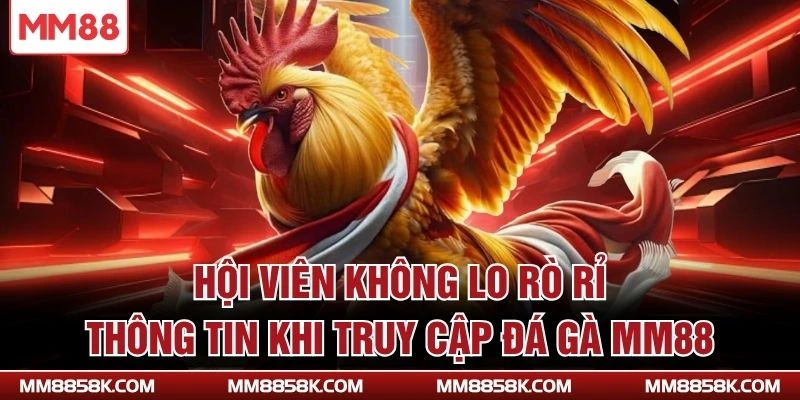 Hội viên không lo rò rỉ thông tin khi truy cập đá gà MM88