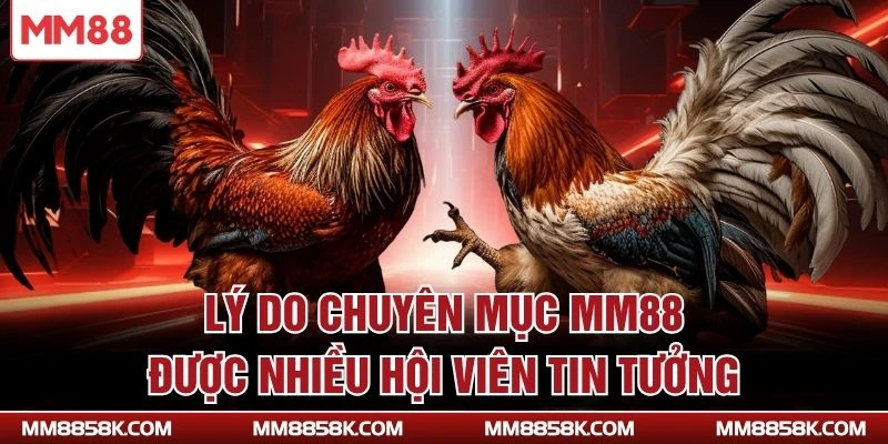 Lý do chuyên mục MM88 được nhiều hội viên tin tưởng